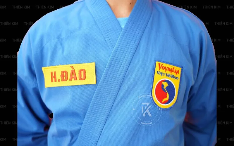 vovinam co may dai hanh trinh truong thanh cua nguoi hoc viet vo dao