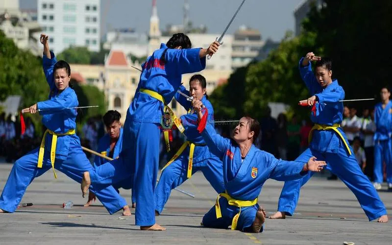 vovinam co may dai hanh trinh truong thanh cua nguoi hoc viet vo dao
