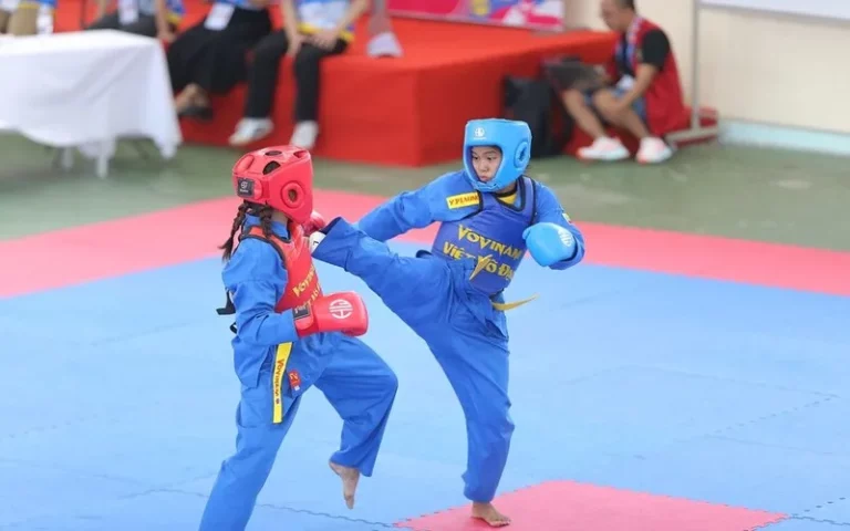 Vovinam có mấy đai? Hành trình trưởng thành của người học Việt Võ Đạo